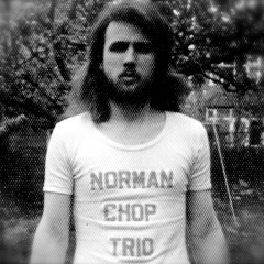 The Quiet Joys of Brotherhood - Norman Chop Trio (1976)