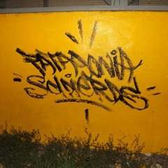 PATAGONIA SOLDIERD,S