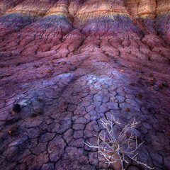 Painted Desert Pt. II: Secrets in the Sand