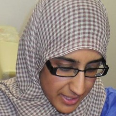 Shibli’s Story, 2013