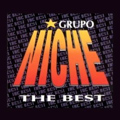 Salao - Grupo Niche