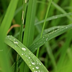 My Valentine (Cover Martina McBride)