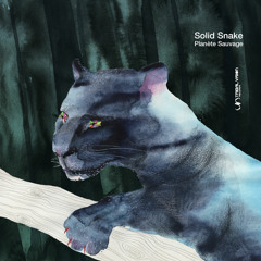 Solid Snake - Charmer (Original Mix)