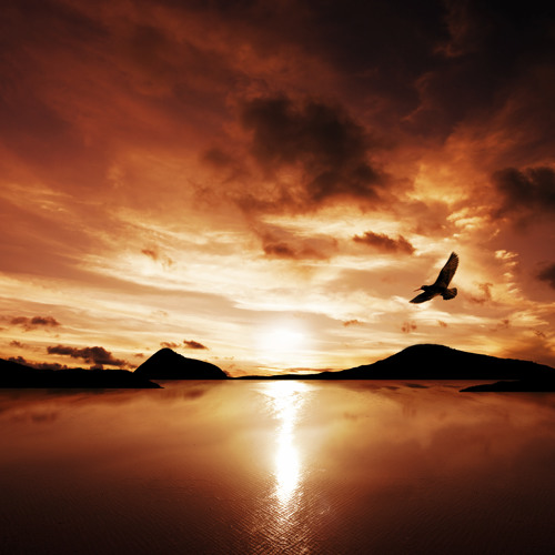 Minilogue - Bird Song