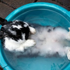 Fuck Editing! Its Freestyle Tuesday! Drinkin' Champagne and Shit. 30C In The Outside World..