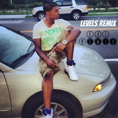 Levels Remix