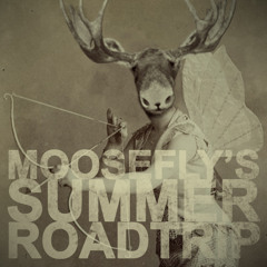 Moosefly - Summer Roadtrip Mix - Aug 2013