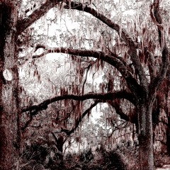 Garden of Souls (demo version)