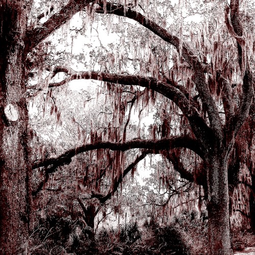Garden of Souls (demo version)