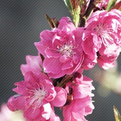 빗소리+정준일 - 서른즈음에