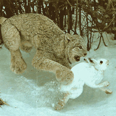 Do You Really Want To Hurt Me