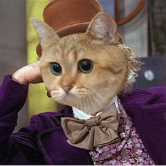 Shpongle - When Shall I Be Free X DarkxCheeto - gangsta Sultan -Mashup -{Free Download}-