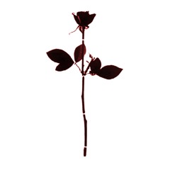 Enjoy The Silence acoustic cover