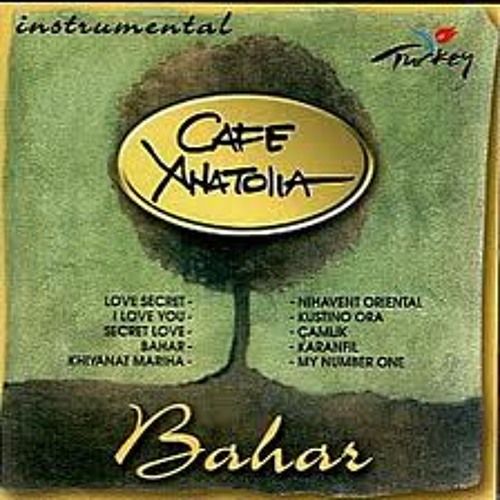 Cafe Anatolia - Oriental facial - تقسيم شرقي 2