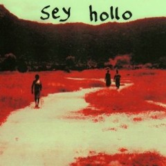 Sey Hollo B My Friend 4 Ever