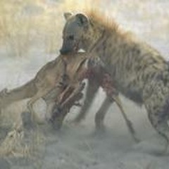 FOR THE KILL (NEW TRACK EXPLCT 2013 PROD. BY EMNL)