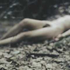 she rips her heart from the tops of trees