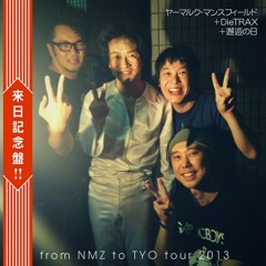 From NMZ to TYO tour 2013