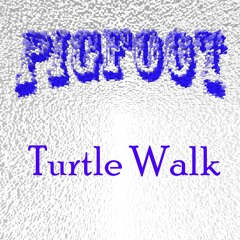 Turtle Walk