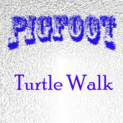 Turtle Walk
