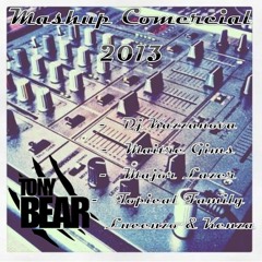 MashupComercial2013byTonyBear
