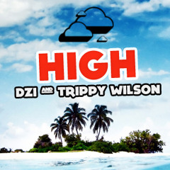 DZI ft. Trippy Wilson - HIGH