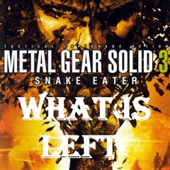 What Is Left (Snake Eater Remix)