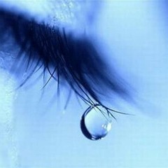 Theo tình thì tình chạy, mà chạy tình thì tình theo - Hèo Văn Cui :D