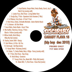 Caraby flava jan 2011