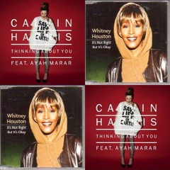 Carvin Harris vs Whitney Houston - It's not right about you (Bastard Bob mashup)
