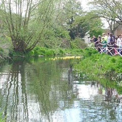 I don't know what this is