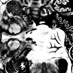 Regosphere - Death, Like A Thief - (Excerpt)