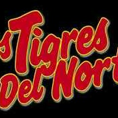 La Cruz De Marihuana norteña ★ DALE LIKE