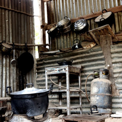 เพื่อนจอนชาวไร่ ผู้หงอยเหงา