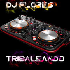 Dj Flores Beat Tribaleando 2013 PVT - Colectivo Tribal Mexico