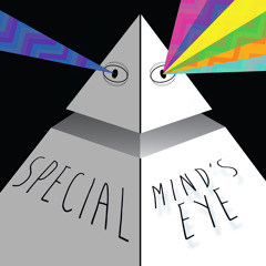 Special - Mind's Eye - 05 Can't Get Down (Soul - Mix) Feat Tony Blount (produced By Vizcatia)