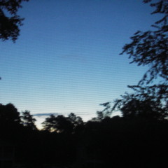 With Or Without You CB July 25th 2013