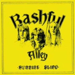 Bashful Alley - Running Blind - Live(Brofest 2013)