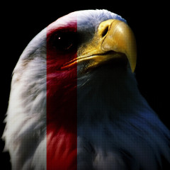 blanket of ashes (preview)