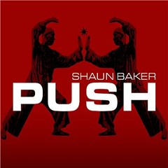 Shaun Baker - Push (LvG 2k13 shortcut)