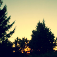 MagdaSet de una noche de verano