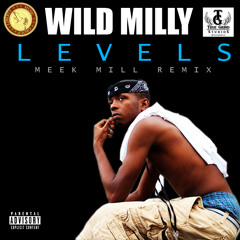 Wild Milly - Level'D Up (Meek Mill "Levels" Remix)