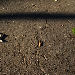 Kryptic minds vs. Burial - Distant dawn vs. Prayer (Xeno remix)