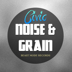 CIVIC - NOISE & GRAIN [Prev]