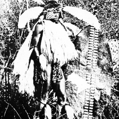 Shaka Revived (Demo)