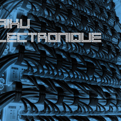 Haïku Electronique
