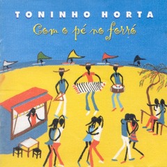 Asa Branca - Toninho Horta e Dominguinhos