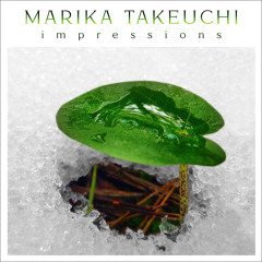 Marika Takeuchi : Horizons
