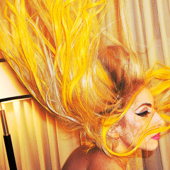 Lady Gaga - Posh Life