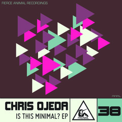 Chris Ojeda - Turn Of Phrase (Original Mix)